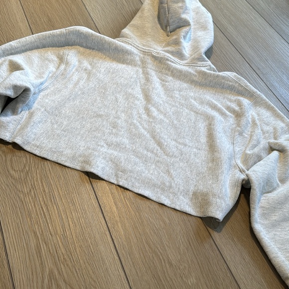 Champion Reverse Weave Heather Gray Cropped Hoodie - Picture 7 of 7